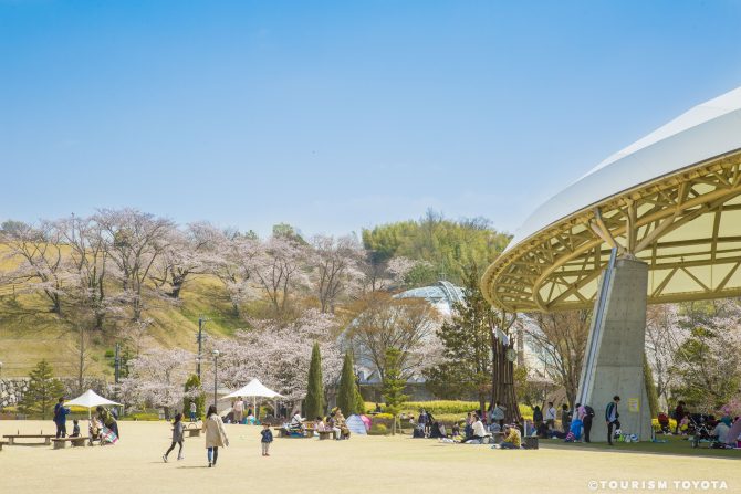 【豊田市】ファミリーにおすすめ！子どもと一緒に楽しめる公園【豊田市の分譲住宅はMIRAIZ】